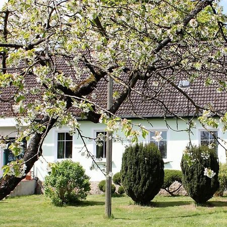 Pension Gestuet Lindenhof Templin Eksteriør bilde